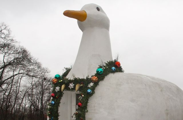 1201_big_duck