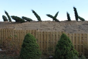 2013 1106 costco berm
