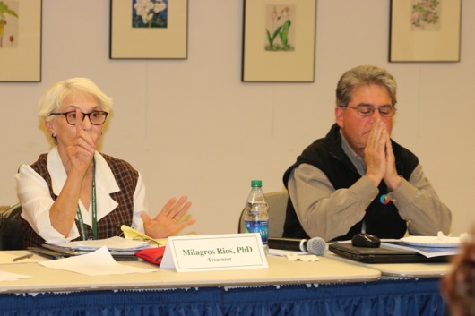 Board treasurer Milagros Rios and member Dean Terchunian. Photo: Denise Civiletti