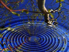 Seeking the essence of consciousness in the human brain: spirituality or science?