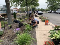 Volunteers plant next phase of garden beds at Riverhead train station