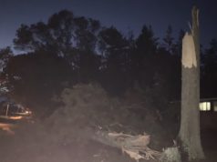 Storm downs trees and power lines, leaving hundreds in the dark in Riverhead and across North Fork