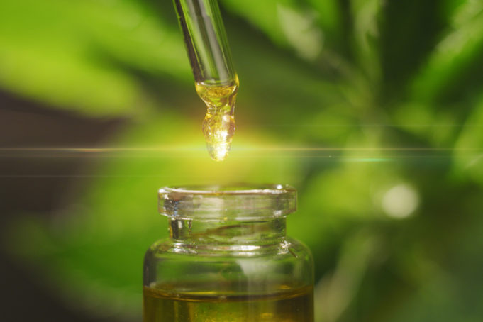 Macro close up of droplet dosing a biological and ecological hemp plant herbal pharmaceutical cbd oil from a jar.