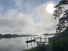 A look back at this week’s news