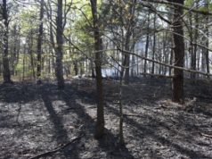 Police seek public’s help to find arsonist who started Flanders brush fire last week