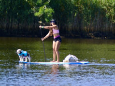 Paddlers compete to raise money for New York Marine Rescue Center