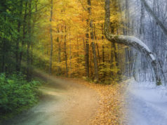 Taking stock, gaining perspective on all the seasons of life