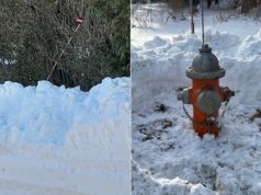 Fire chiefs ask residents & businesses to dig out nearby fire hydrants: ‘Every second counts’