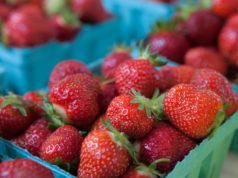 Mattituck Lions 67th Annual Strawberry Festival takes place Wednesday through Sunday