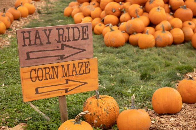 pumpkin-patch-with-hay-ride-and-corn-maze-signs