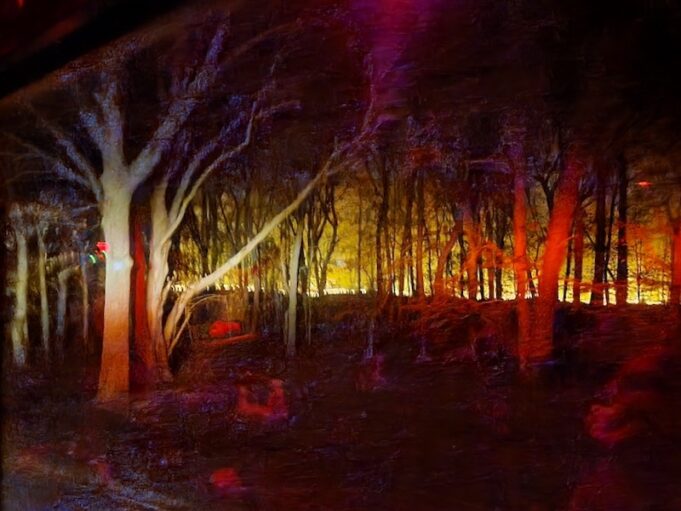 2024_1112_brush fire -2 BLinnen - 1