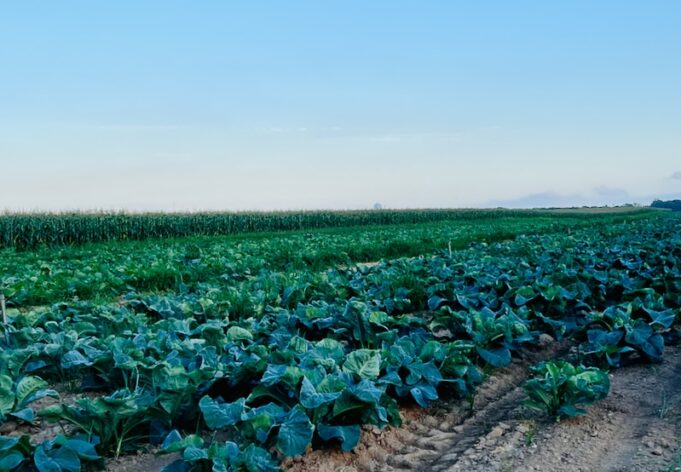 2025_0825_Anderson Farmland - 1