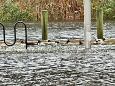 Nor’easter to bring 3-4 inches of rain, strong winds to local area this weekend