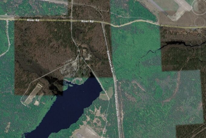 Manorville woods