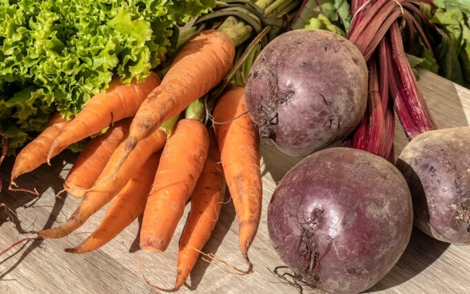 fresh organic carrots, beets, radishes and lettuce leaves on wooden table in Brazil