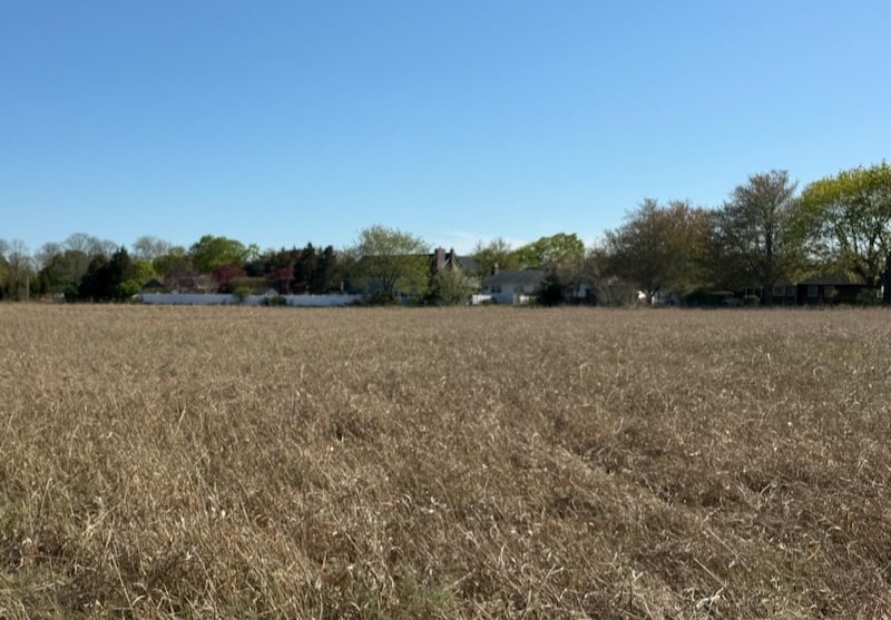 Open space acquisition of South Jamesport parcel falls through: County Exec Romaine