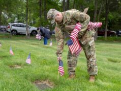 ‘Decoration Day’ at Calverton National: flags placed at gravesites throughout cemetery