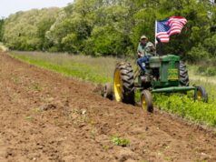 Celebrating Riverhead’s agricultural heritage: Plow Day at L.I. Antique Power Association