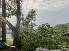 Riverhead opens yard waste facilities to all town residents for storm debris disposal
