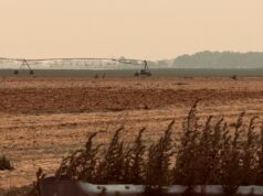 Smoky conditions expected to persist through at least Thursday night Haze from Canadian wildfires is visible in the sky over a farm field off Doctors Path in Riverhead, as plumes of smoke drifted south across the region July 15. RiverheadLOCAL/Peter Blasl