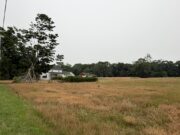 Suffolk tables agricultural district bid for Calverton cannabis site