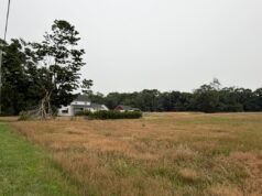 Suffolk tables agricultural district bid for Calverton cannabis site