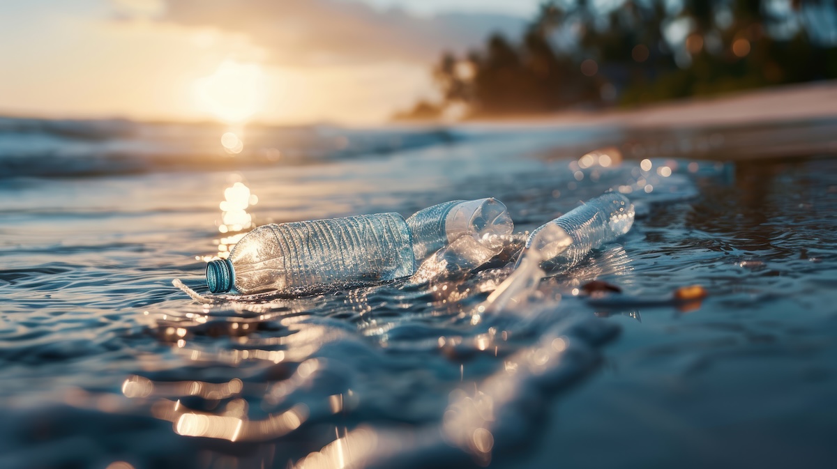 ‘Skip the Stuff’ law needed