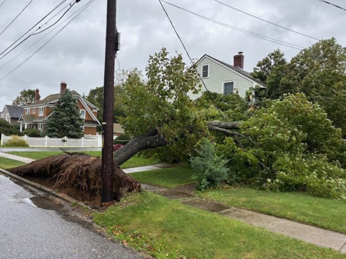 2026_1001_storm damage assessment reporting - 1