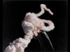 The Challenger explosion and the plutonium mission that worried me